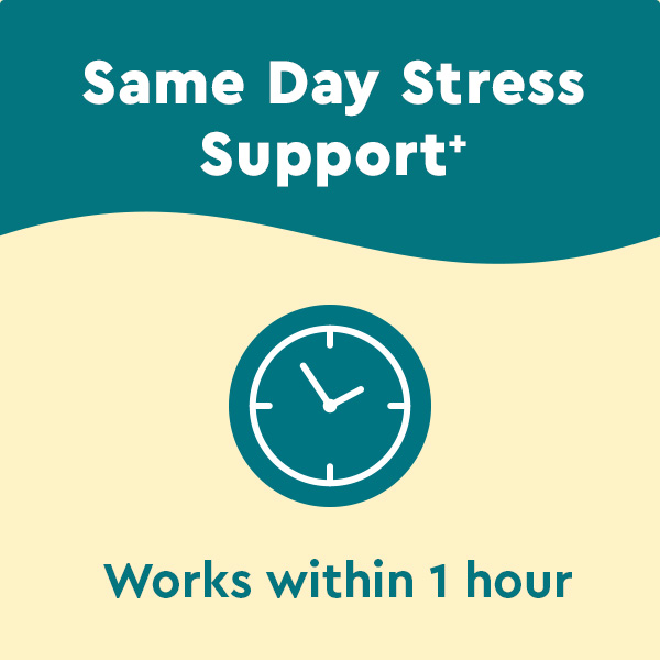 Nature Made Wellblends Stress Relief Gummies, 40 Strawberry Flavor Gummies