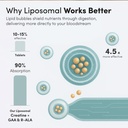 aurora-nutrascience-active-liposomal-cre-3.jpg