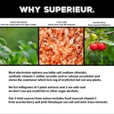 superieur-electrolyte-powder-packets-veg-5.jpg
