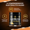 hrdwrk-100-servings-keto-electrolytes-po-2.jpg