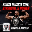 jnx-sports-the-curse-creatine-monohydrat-6.jpg