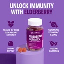 sambucus-elderberry-gummies-for-adults-i-3.jpg