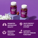 sambucus-elderberry-gummies-for-adults-i-6.jpg