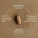 new-chapter-one-daily-prenatal-multivita-71N0VVbzMdL.jpg