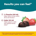 nature-made-wellblends-stress-relief-gum-71JZVRE0lOL.jpg