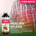 papaya-leaf-blood-support-liquid---15x-s-4.jpg
