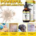 yeast-infection-treatment-for-dogs-dog-e-4.jpg