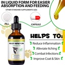 yeast-infection-treatment-for-dogs-dog-e-6.jpg