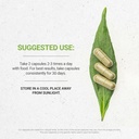 secrets-of-the-tribe-nutmeg-usda-organic-3.jpg