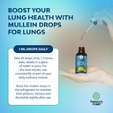organic-mullein-drops-for-lungs-herbal-l-4.jpg