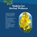 organic-mullein-drops-for-lungs-herbal-l-5.jpg