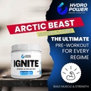 hydro-power-ignite-energy-focus-mix-arct-3.jpg