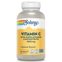 SOLARAY维生素C 1000mg 与生物氟化物 集中 - 维生素C 夹带玫瑰 HIPS 和 Acerola Cherry - 抗氧化剂、心脏健康和免疫支持补充剂,Vegan, Non-GMO, 250 服务
