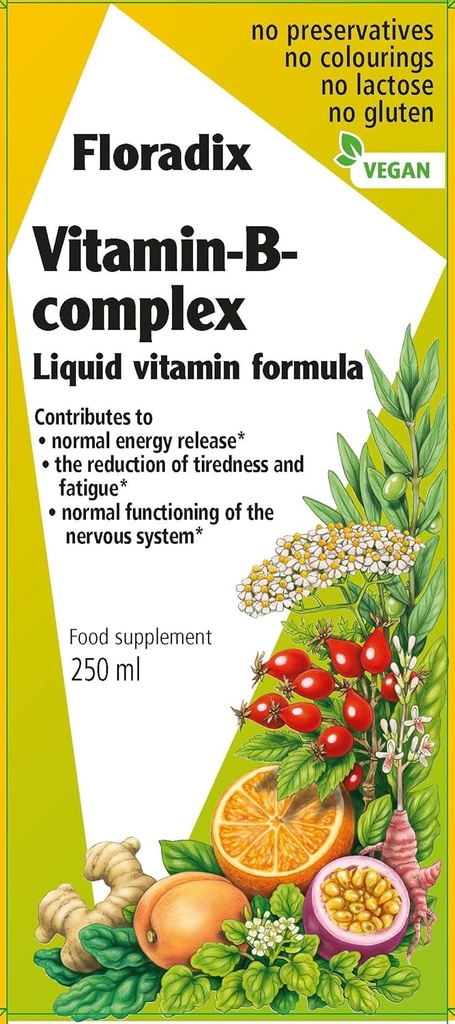 Floradix 维生素B 复杂液体配方,250毫升
