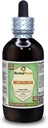 Moringa (Moringa Oleifera) Glycerite, Organic Dried Leaf Powder Alcohol-Free Liquid Extract (Brand Name: HerbalTerra, Proudly Made in USA) 4 fl.oz (120 ml)