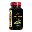 Tongkat Ali Longjack for Men – Longjack supplement - Plant-powered daily support - Traditional Herbal Root Extract for Everyday Wellness - Longjack for men - 1 Bottle 60 Capsules