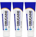 (3 Pack) Globe Dibucaine 1% Hemorrhoid Treatment Ointment - 1 Oz Rapid Numbing Relief, Hemorrhoid Treatment from Itch and Burn