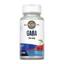 KAL GABA Supplement, Relaxation Support and Stress Relief Support, Natural Cherry Flavor ActivMelt Instant Dissolve, Vegetarian, 60-Day Money-Back Guarantee, 120 Servings, 120 Micro Tablets