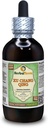 Xu Chang Qing, Paniculate Swallowwort (Cynanchum Paniculatum) Glycerite, Dried Root Alcohol-Free Liquid Extract (Brand Name: HerbalTerra, Proudly Made in USA) 4 fl.oz (120 ml)